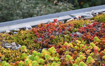 the cost of Haywards Heath green roof installation