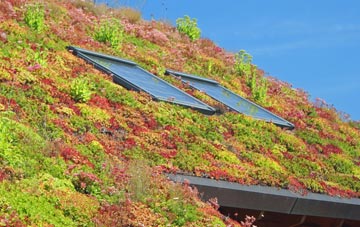 Haywards Heath living roof systems